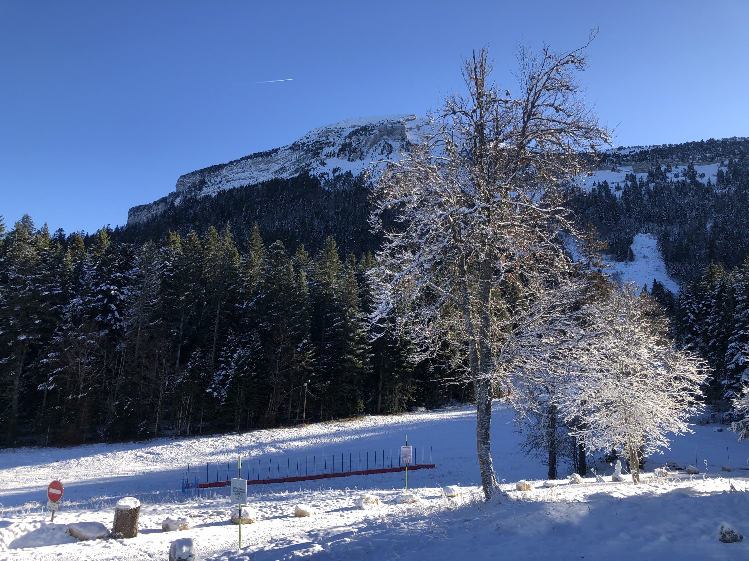 Top 5 des activités à pratiquer au Col de Porte en hiver