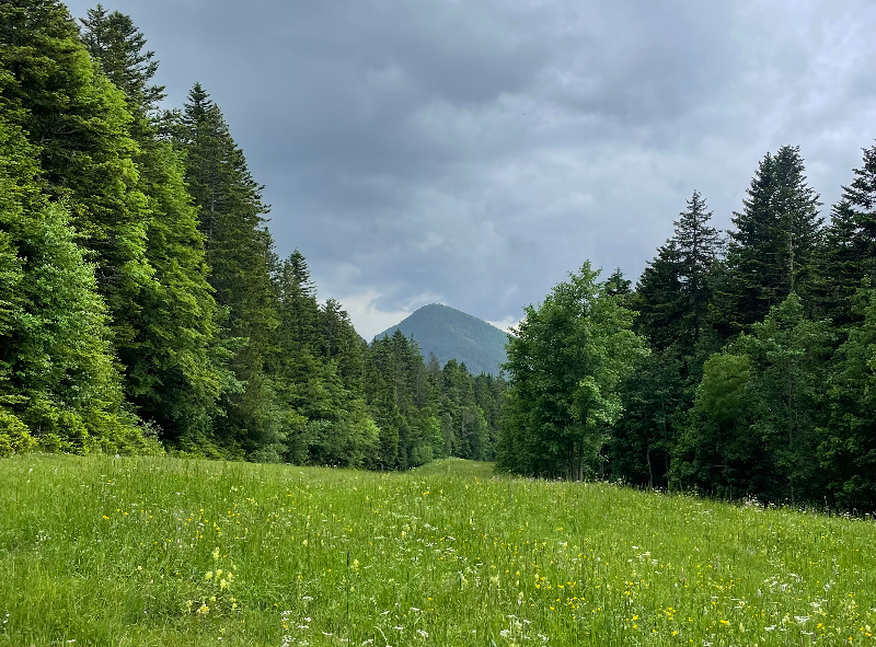 Quelle saison pour se marier au Domaine de Rozan ?