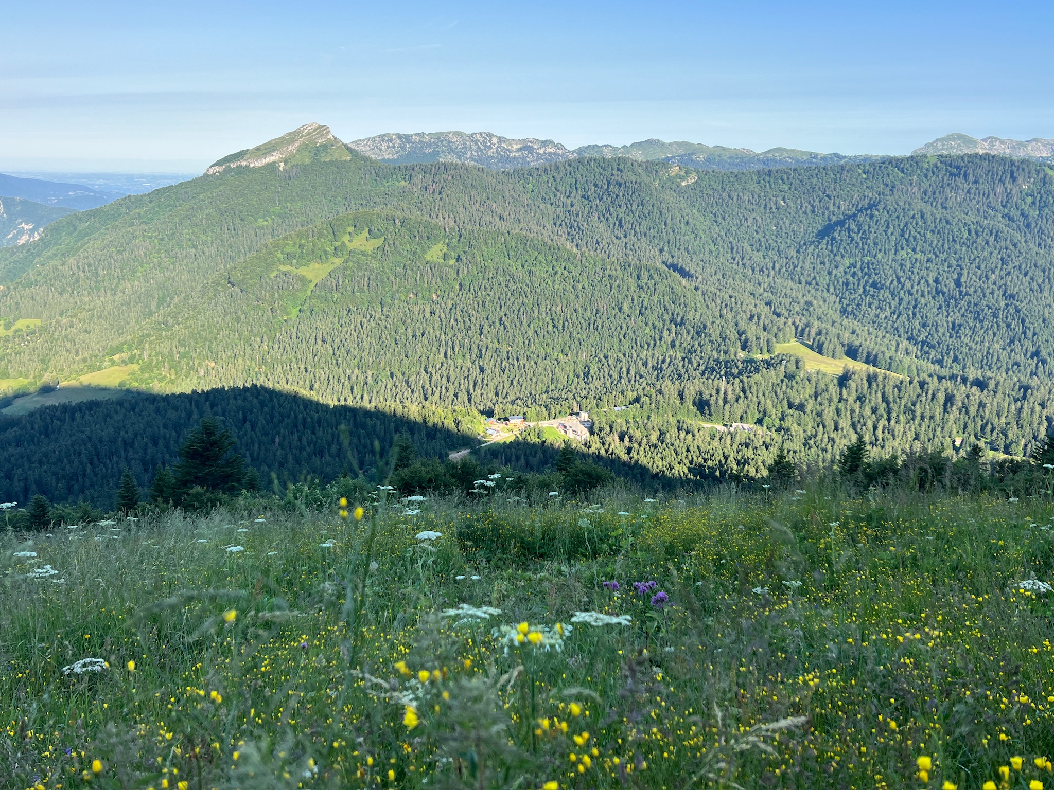 Regard sur la Chartreuse