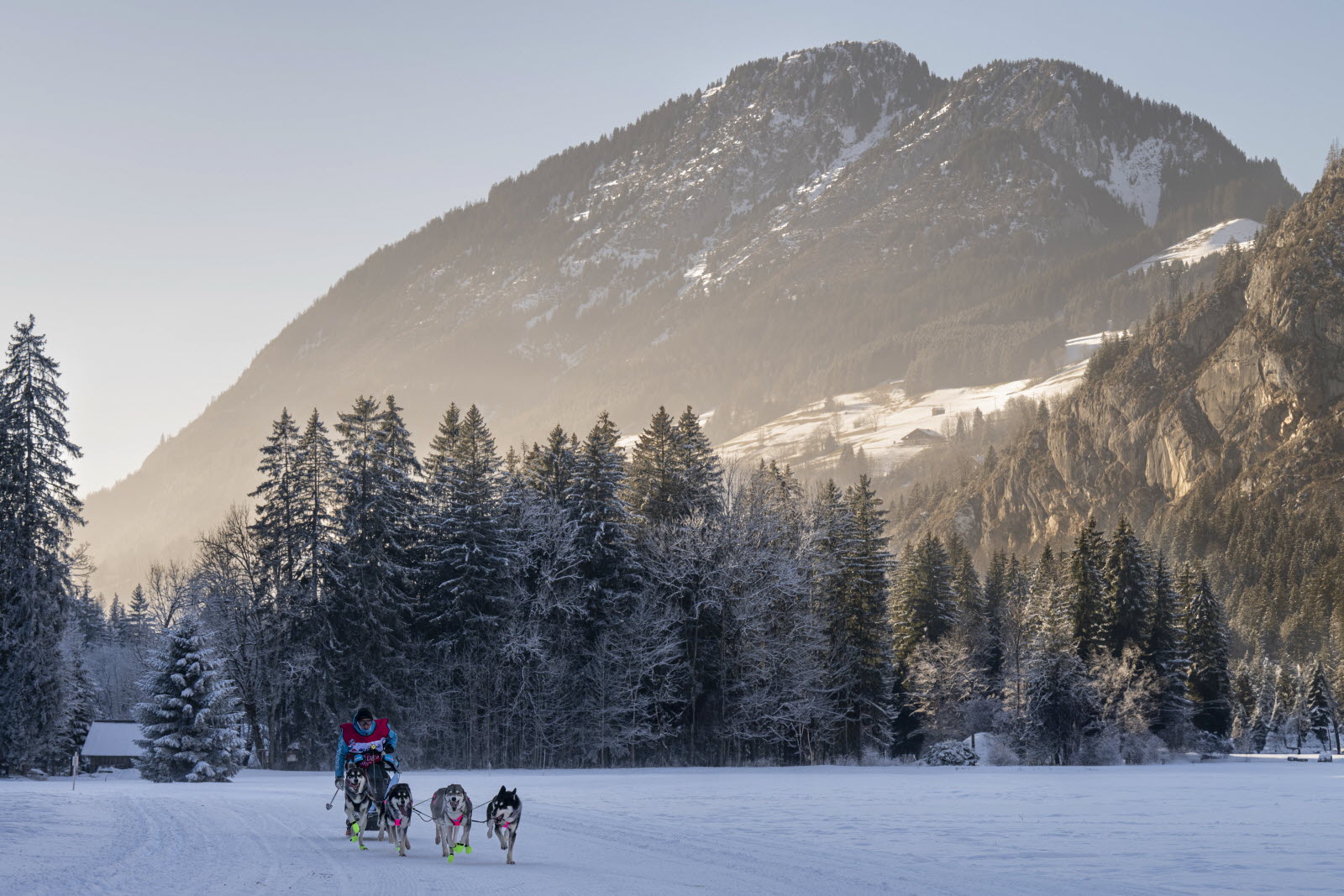 La Grande Odyssée<br />
(c) photo Benoit Diacre